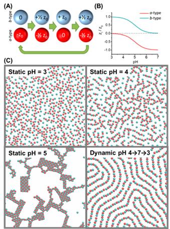 Collective self-assembly of active colloids as the electric charge changing. 