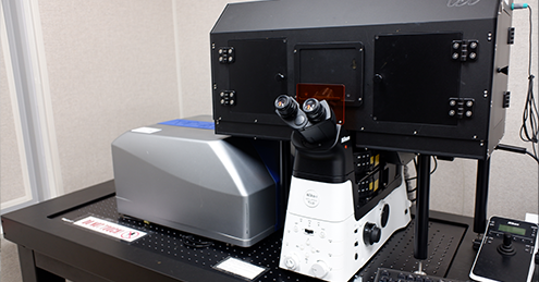 Fast confocal super-resolution live cell imaging system